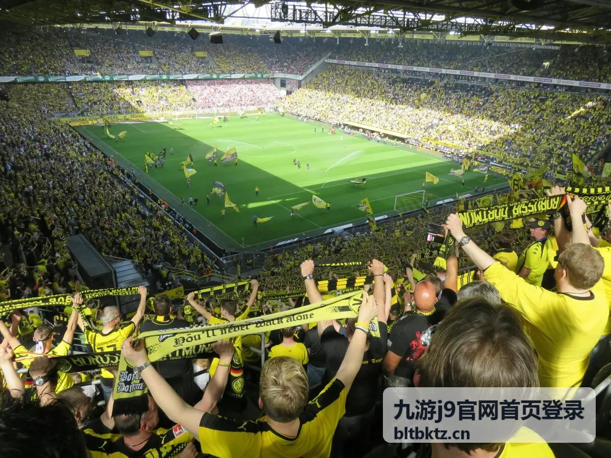 九游j9官网首页登录入口指引配图